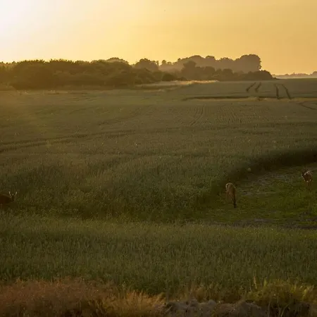 度假居 Dream Location In *